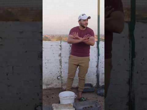 وداعا للأمراض التنفسية عند الدواجن مع أسرع مشروب سحري لنزلات البرد والعطس وفاتح شهيه الفراخ