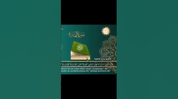 الشيخ محمد الفقيه سورة المائدة @abwshayifjaber7