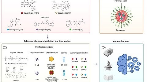 mPEG-PLGA from PolySciTech used in development of polymeric nanoparticles combination therapy.
