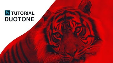 How to Create Duotone Effect in photoshop | Photoshop Tutorial #01