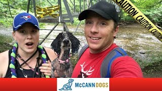 Hiking With A Dog Off Leash Tips