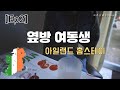 [Ep2] 아일랜드 홈스테이는 어떨까? / 아일랜드 워홀 / a6400