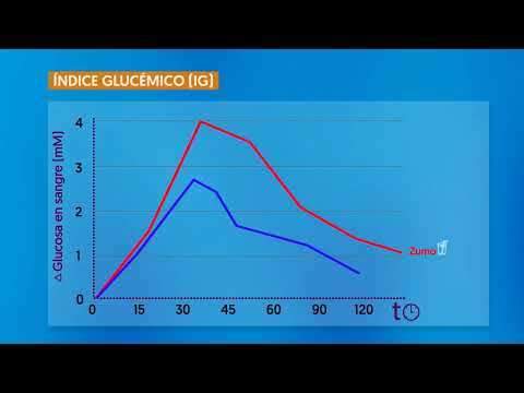 Como contar hidratos de carbono para mejorar el control glucémico