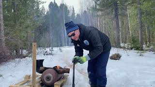 Запекаю «Печёнки» Бурундук пришёл в гости!