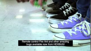 HEXBUG Fire Ant Advertisement with Subtitles