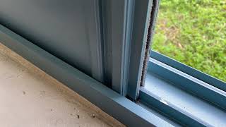IMG 5372