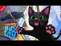 A fait quoi dtre un chat   little kitty big city  un jeu mignon hyper fun fr