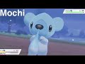 Naturzone 🌱💕 Pokemon Schild 🛡️💕 I Episode 31.
