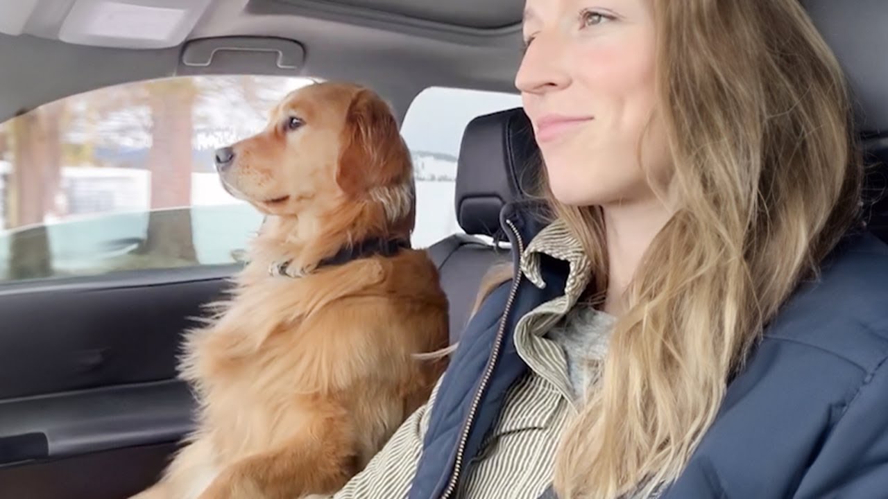 ⁣These dogs that prove they are more than just pets, they're family