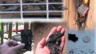 Be Ember Aware (1/2)