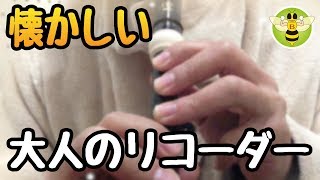 リコーダー、おすすめ商品レビュー（懐かしい、手軽に童謡を楽しむ大人の趣味）商品紹介