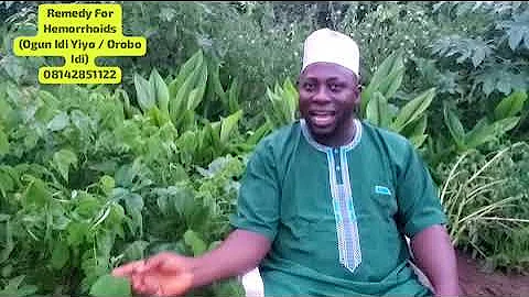 Agbo Ako jedijedi ati idi yiyo.