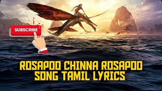 Rosapoo Chinna Rosapoo tamil song lyrics @rawimusictamillyrics #rosapoochinna #tamilsonglyrics