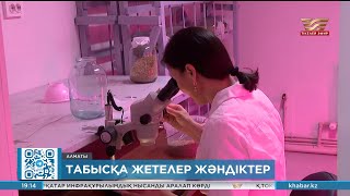 Ғалымдар зиянкестермен биологиялық күрес тәсілдерін сәтті қолданып жатыр