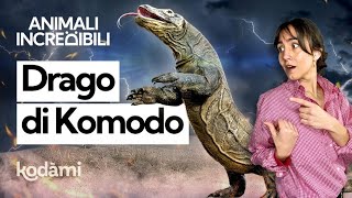 Cosa succede se ti morde il drago di Komodo? Quanto è velenosa questa lucertola gigante by Kodami 155,714 views 2 months ago 12 minutes, 42 seconds