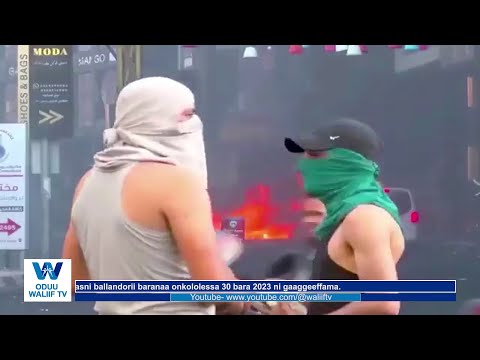 Lola Israa Eliifi Falasxiin