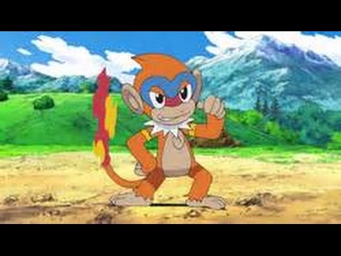 pokemon showdown unblocked pokemon showdown unblocked
