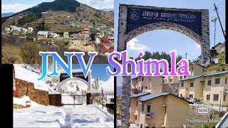 A Visit To JNV Theog Shimla.