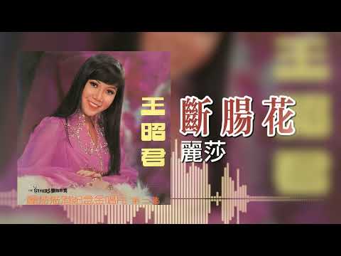 【歌手專輯 - 麗莎蒞港紀念金唱片 第二集 - 王昭君】麗莎 Lisa Wong | 歌名：斷腸花 | 老歌經典 | 完整歌曲 | 字幕版