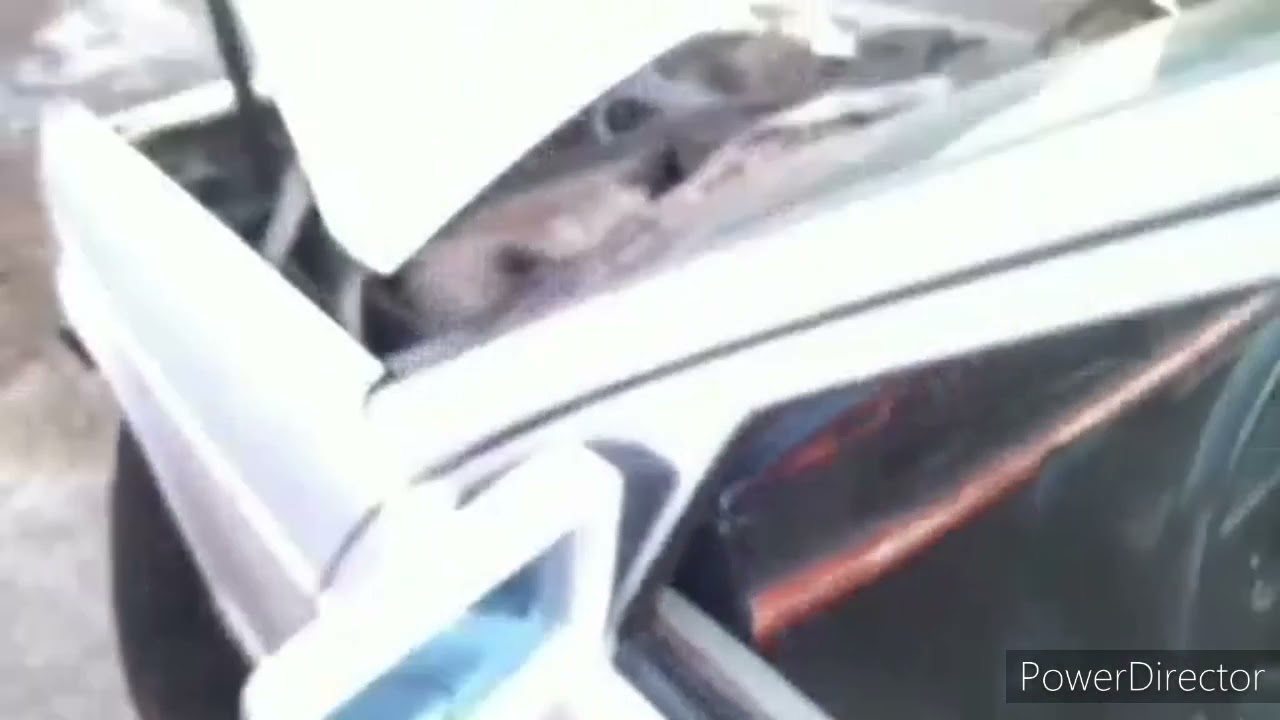 124 mercedes на карбюраторе к-151 вместо stromberg