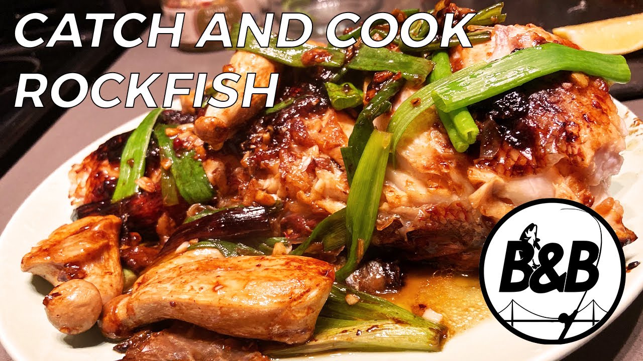 Catch and Cook Bay Area Rockfishing! YouTube