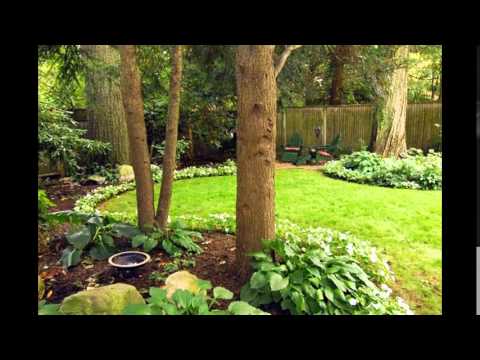 Easy DIY landscape design ideas - YouTube
