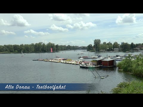 Alte Donau - Tretbootfahrt