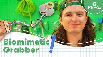 Engineering a Biomimetic Grabber | Inside the Innovation Factory | KiwiCo