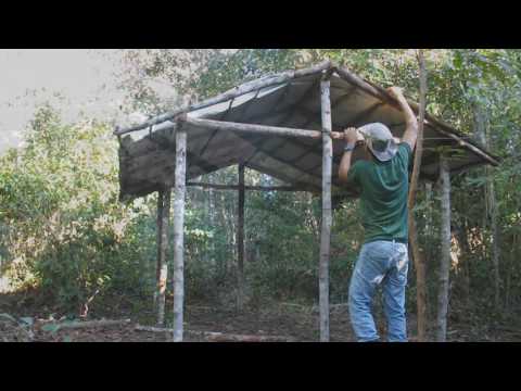 Vídeo: Como faço para construir uma cabana para o galpão?