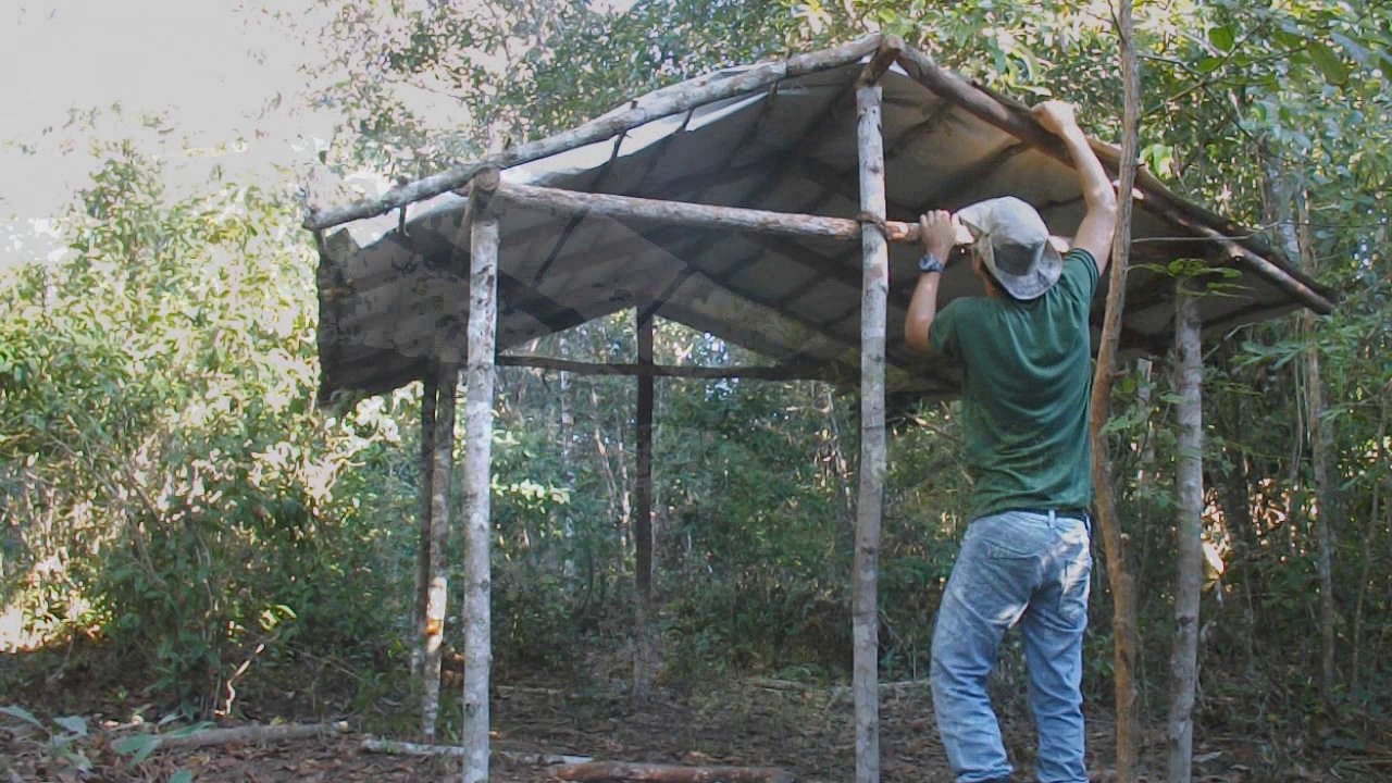 Rancho Primitivo Permanente no Mato .Parte 2 (telhado)