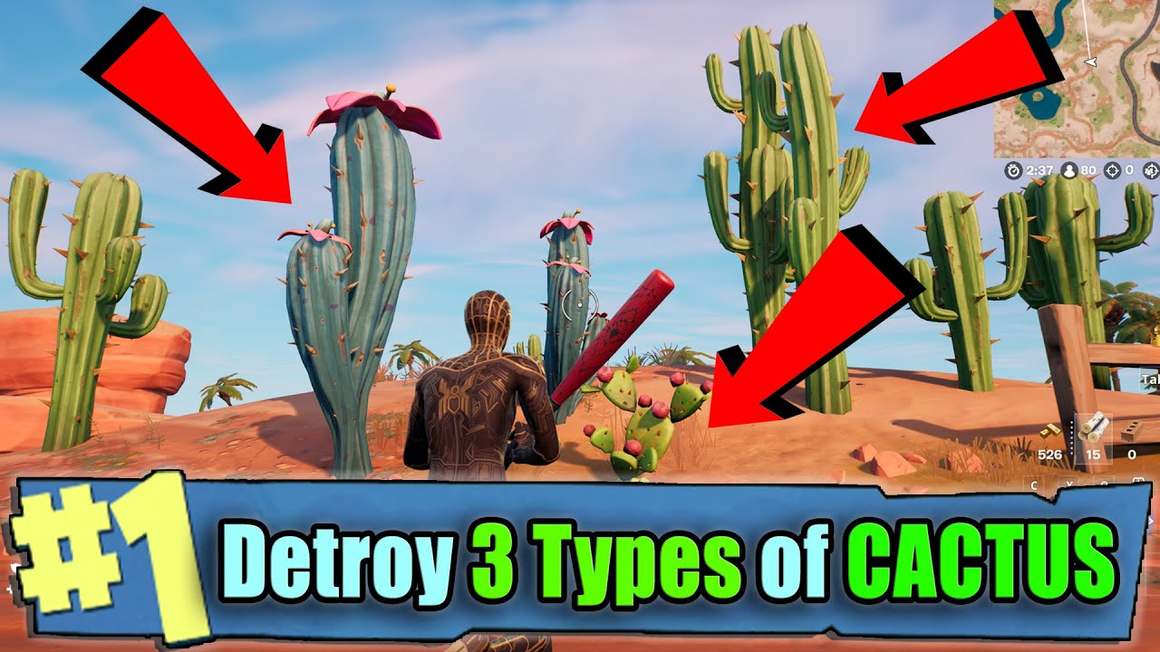 Destroy Different Types of Cactus Plants [3] | Fortnite WEEK 8 Quests (Full  Guide)