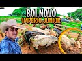 BUSCANDO NOSSO NOVA MAQUINA DE PULO IMPÉRIO JUNIOR