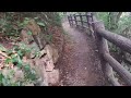 恋愛パワースポットにやってきました