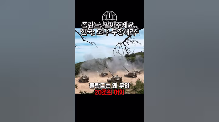 폴란드가 한국 k2 k9을 선택한 이유 #군사 #military #방산수출