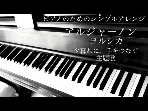 アルジャーノン (私にも弾ける/夕暮れに手をつなぐ/シンプルアレンジ) - ヨルシカ
