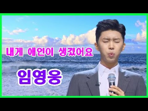 내게 애인이 생겼어요 //히어로 임영웅(원곡나훈아) // 노래방가사삽입 // 노래배우기