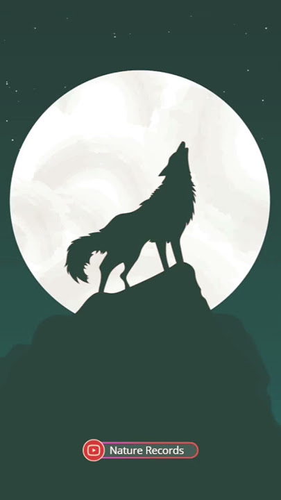 wolf howling sound HQ
