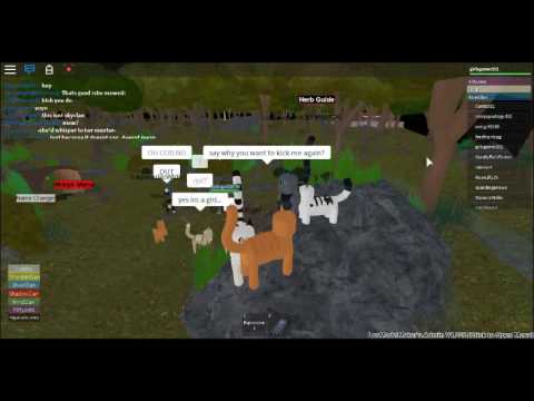 Roblox Bullying Over A Name On A Warrior Cats Game Youtube - how to make a good roblox morph warrior cats forest territory