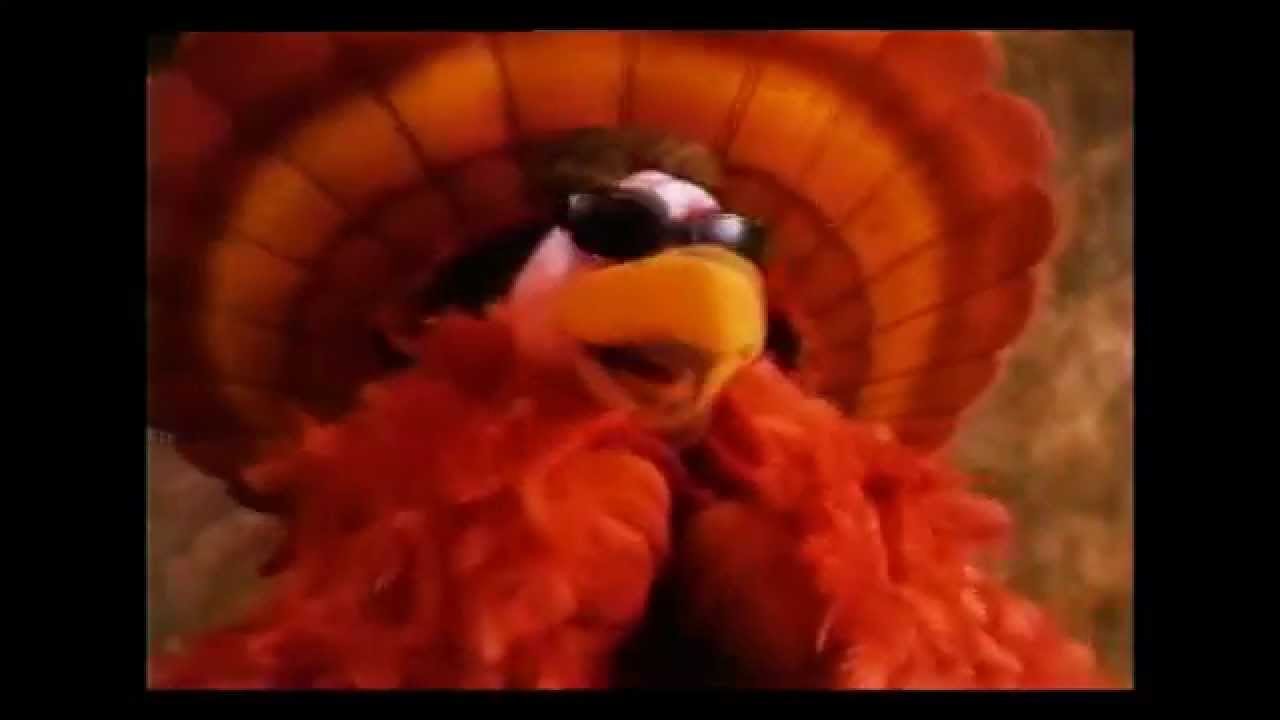 Television Voiceover Meijer Thanksgiving Commercial 1 YouTube