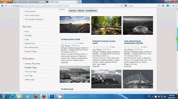 How to show voting and rating in TZ Portfolio?