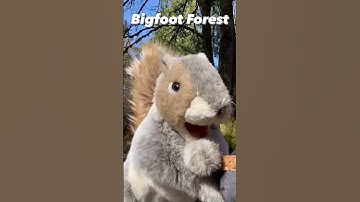 Bigfoot Forest #2 Barry & the trees work to save the planet - The Puppet Hideaway with Eric Thomsen