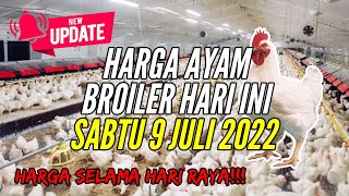 Imbas Mahalnya Harga Pakan Ternak, Harga Ayam dan Telur Ikut Melambung!. 