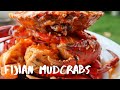 Great Fijian Food - Eating Fijian Mud Crabs | Sigatoka, Fiji