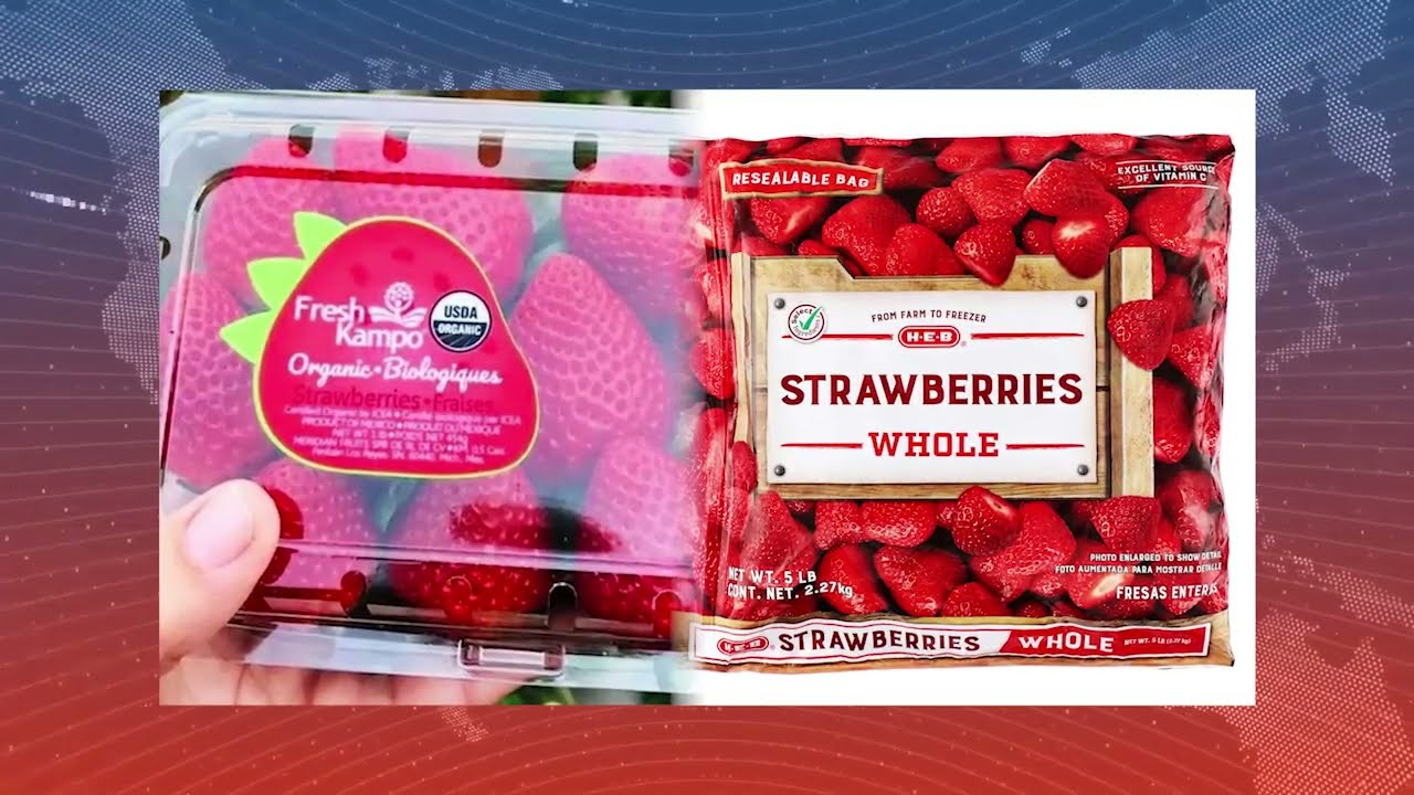 全國: FDA調查甲肝個案是否與新鮮有機草莓有關