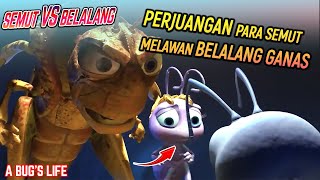 PERJUANGAN SEMUT MELAWAN BELALANG PENJAJAH..!!! | Alur Film A BUG'S LIFE