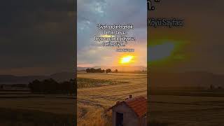 "Siyah saçlarla geldik,Defter beyaz.Beyaz saçlarla gidiyoruz,Defter siyah."#reels #keşfet #kadılar