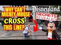 Why cant mickey mouse cross this line and other secrets disney doesnt want you to know