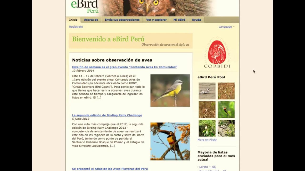 Tutorial para crear tu cuenta en eBird YouTube