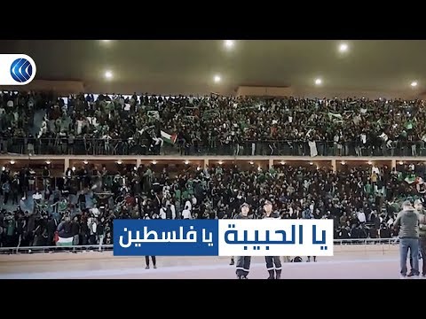 يا لحبيبة يا فلسطين .. أغنية جمهور الرجاء المغربي تشعل المدرجات