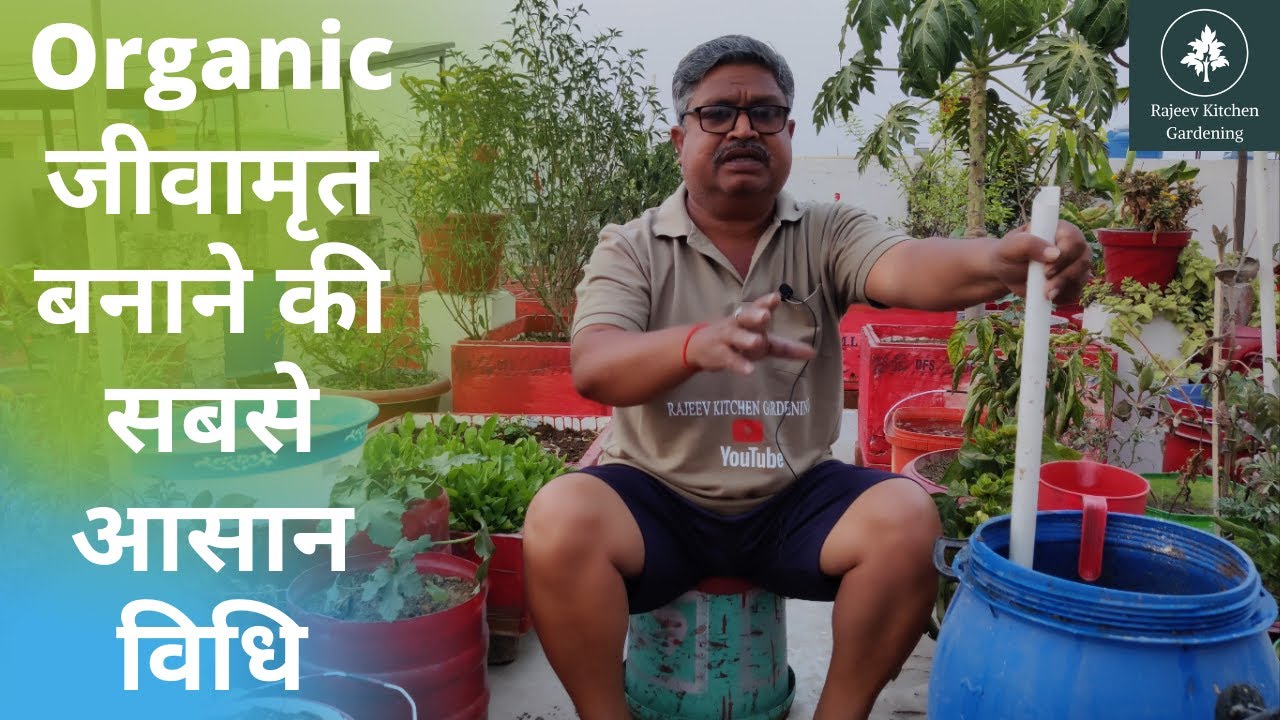 जीवामृत बनाने की सबसे आसान विधि || Organic Jeevamrut  Fertilizer || By Rajeev Kumar